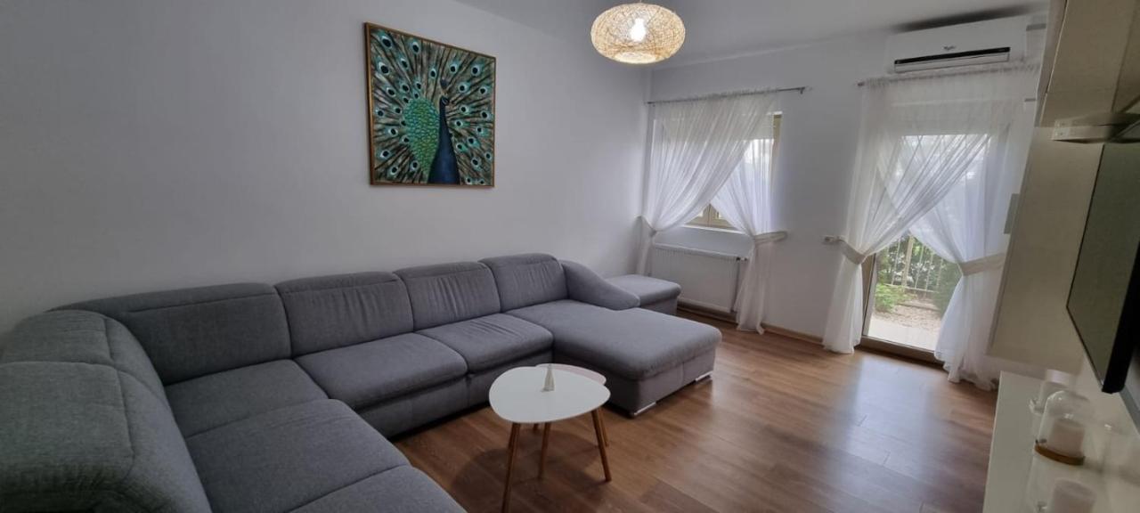Sasu Apartment Timişoara Eksteriør billede