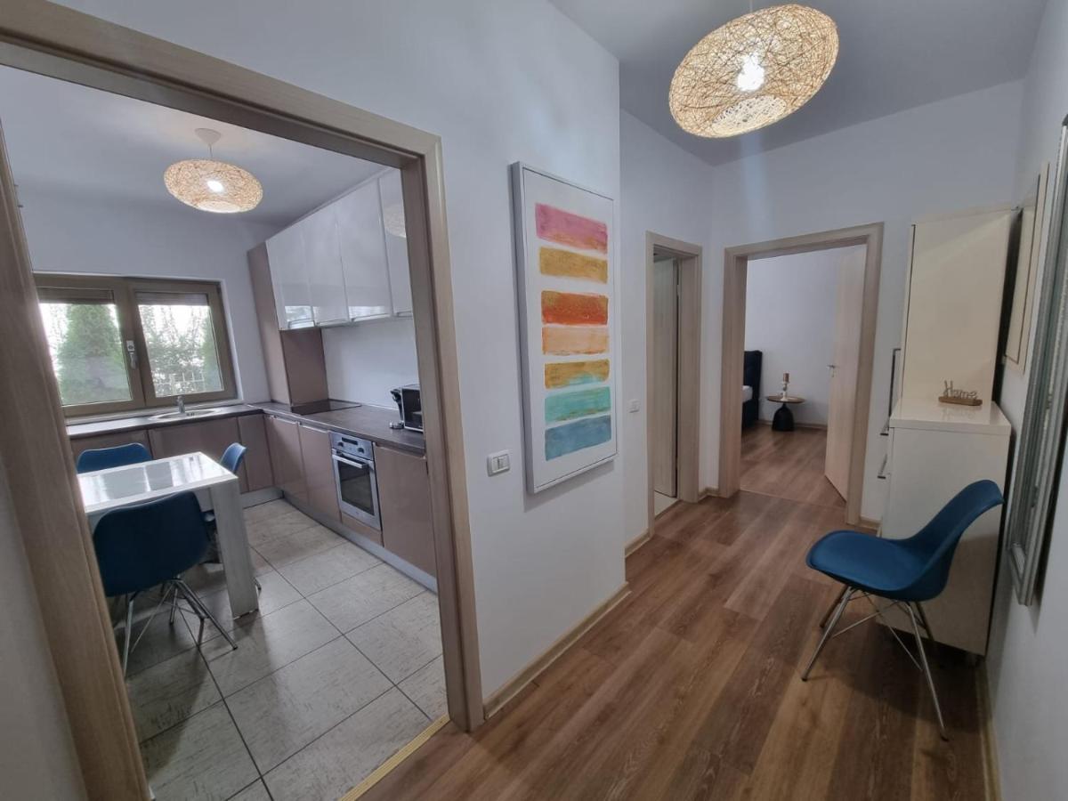 Sasu Apartment Timişoara Eksteriør billede