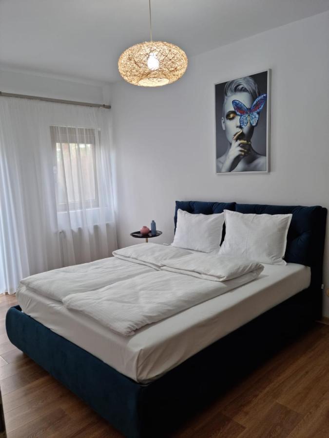 Sasu Apartment Timişoara Eksteriør billede