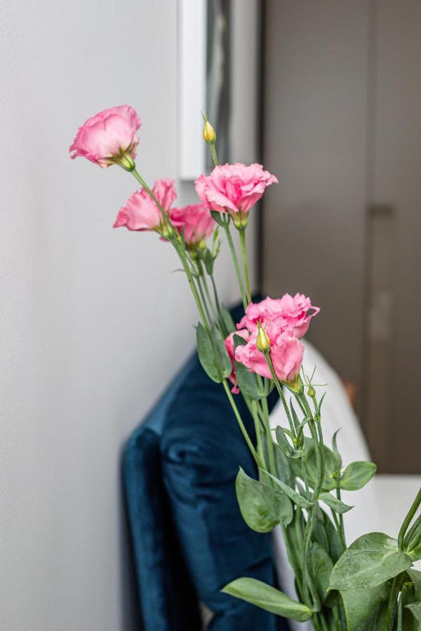 Sasu Apartment Timişoara Eksteriør billede