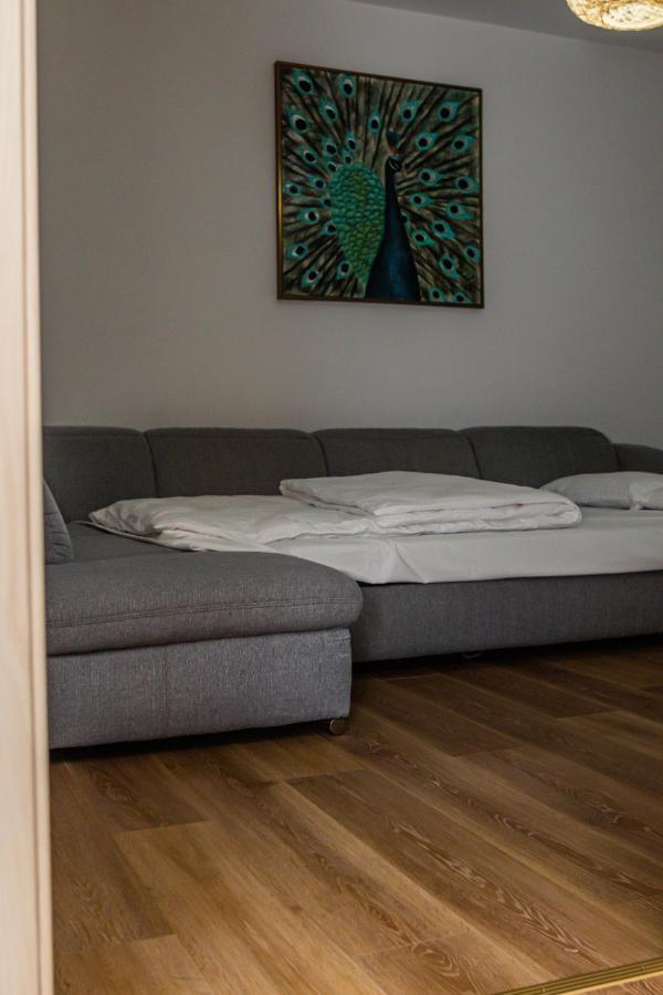 Sasu Apartment Timişoara Eksteriør billede