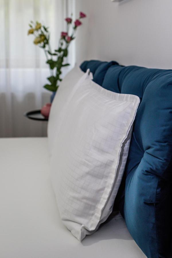Sasu Apartment Timişoara Eksteriør billede